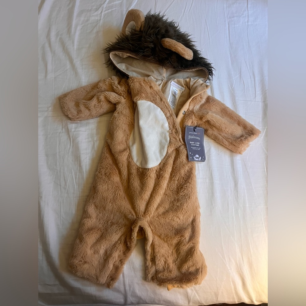 Pottery Barn lion costume